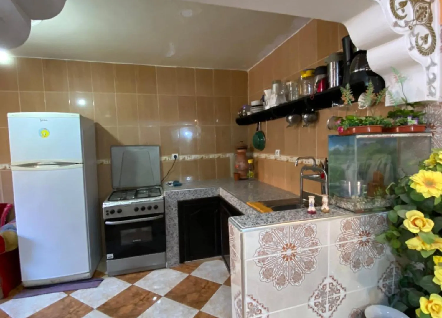 Berber Blue Surf Hous Hostel Agadir Morocco